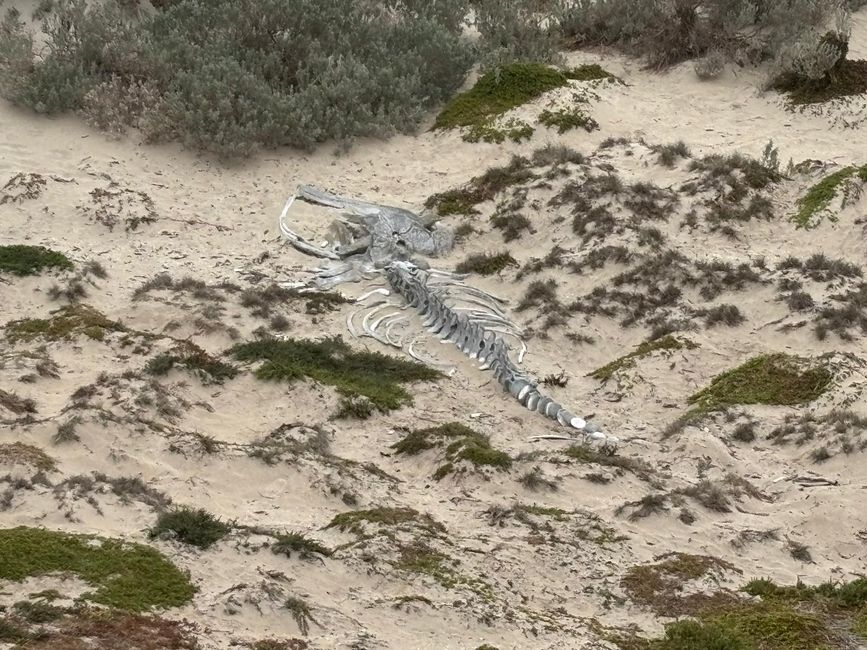 Kangaroo Island