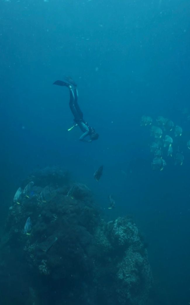 Koh Pha Ngan