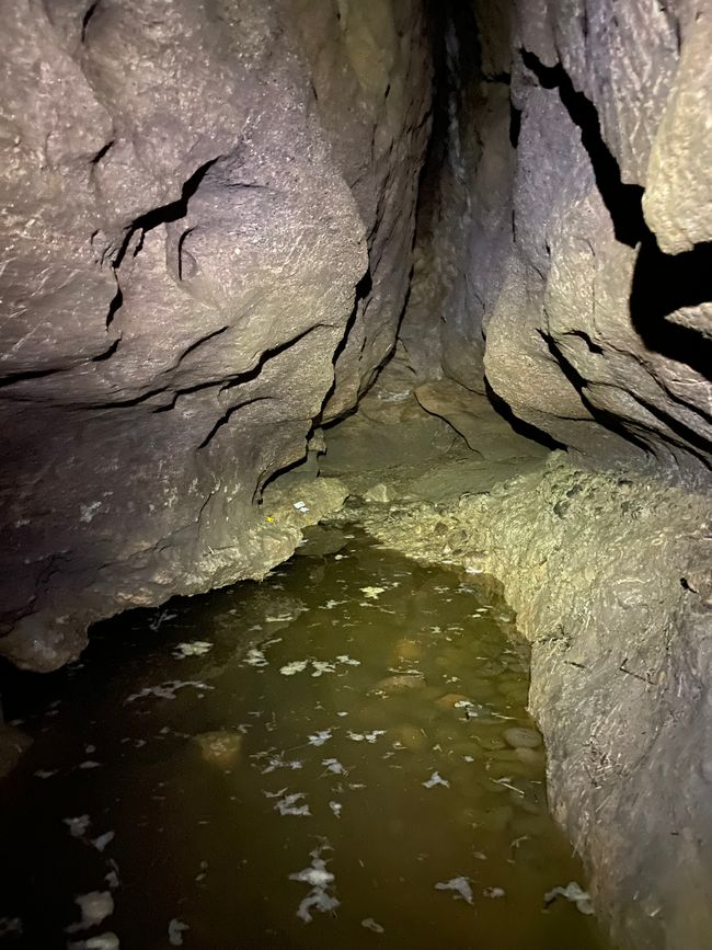 Clifden Caves - Halber Weg aber zu viel Wasser