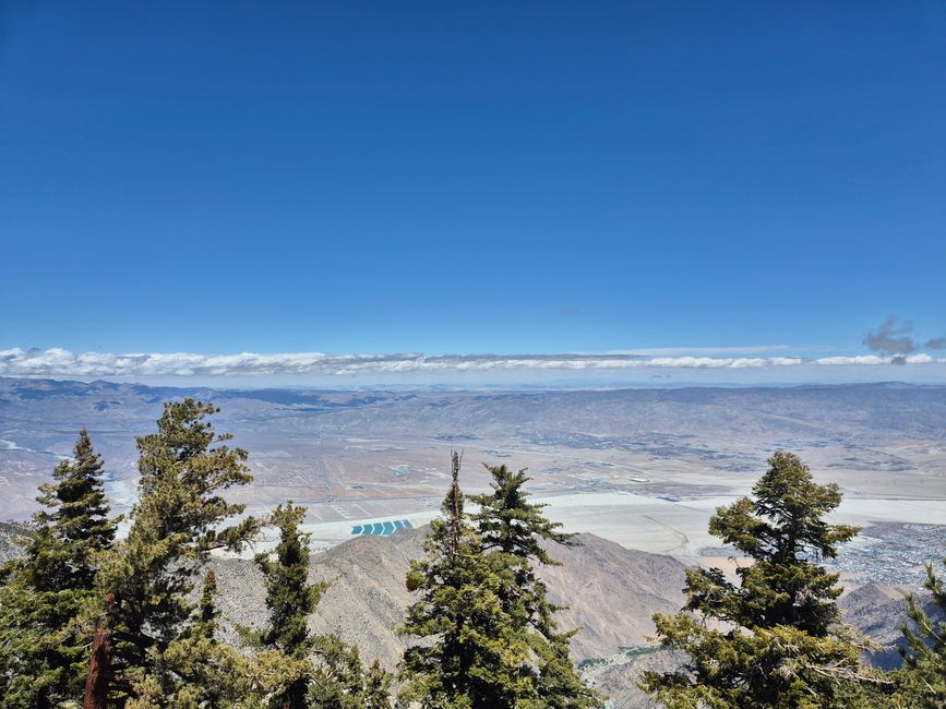 Vue sur Palm Springs en bas
