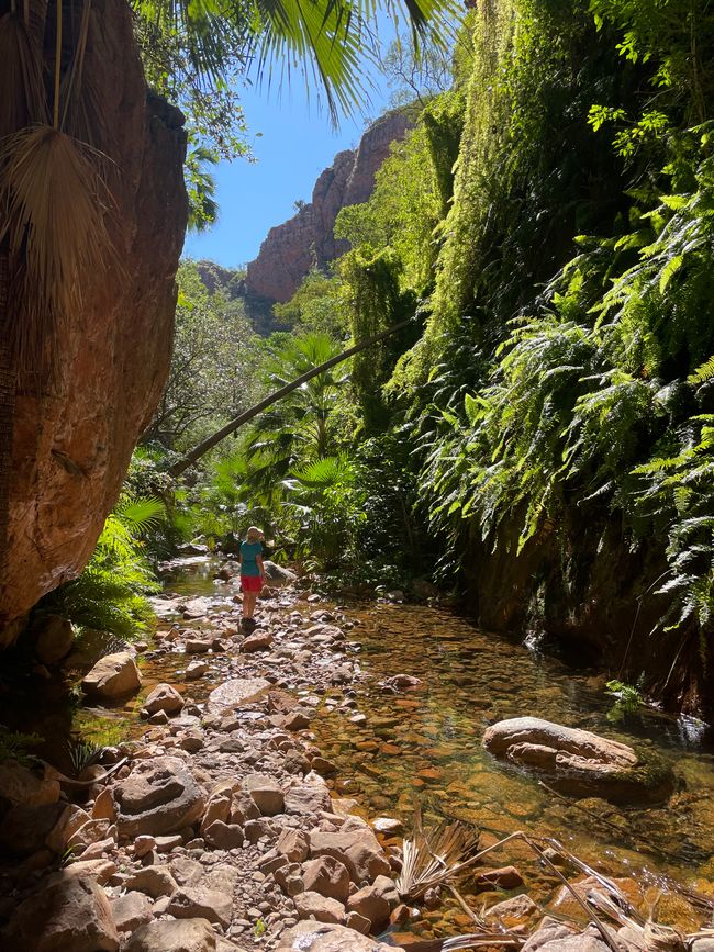 Conditions tropicales dans une région de savane