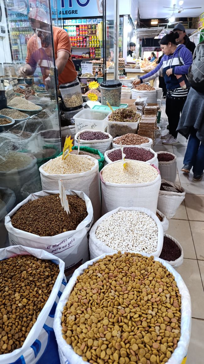 Encarnacion (Juli 2025)