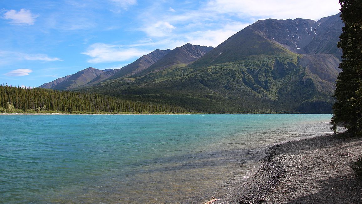 Tag 27: Bärenshow & fantastische Bergwelten - zurück nach Yukon/Kanada