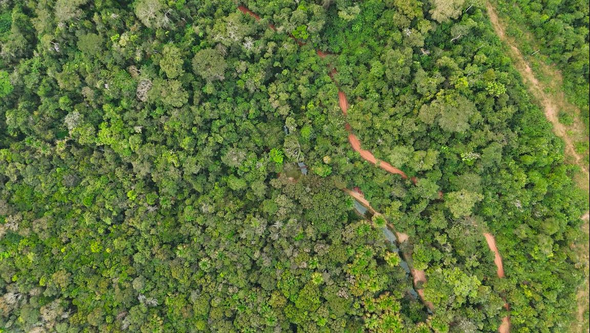 En la selva subtropical cerca de Pousada Bom Jardim