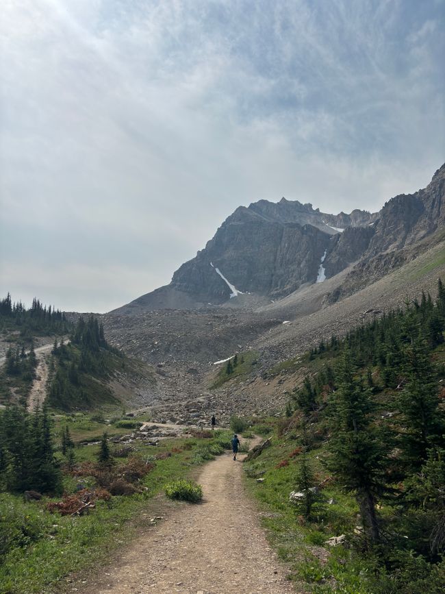 Bow Summit Lookout