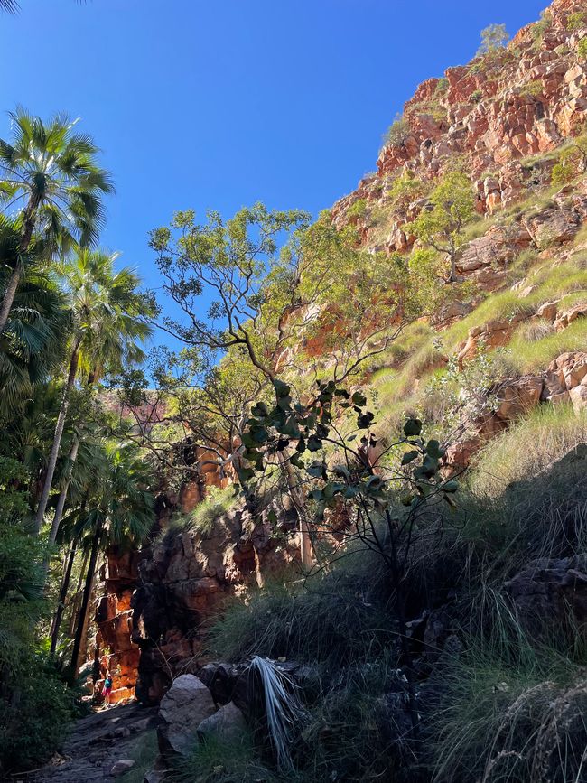Sur le chemin vers la gorge
