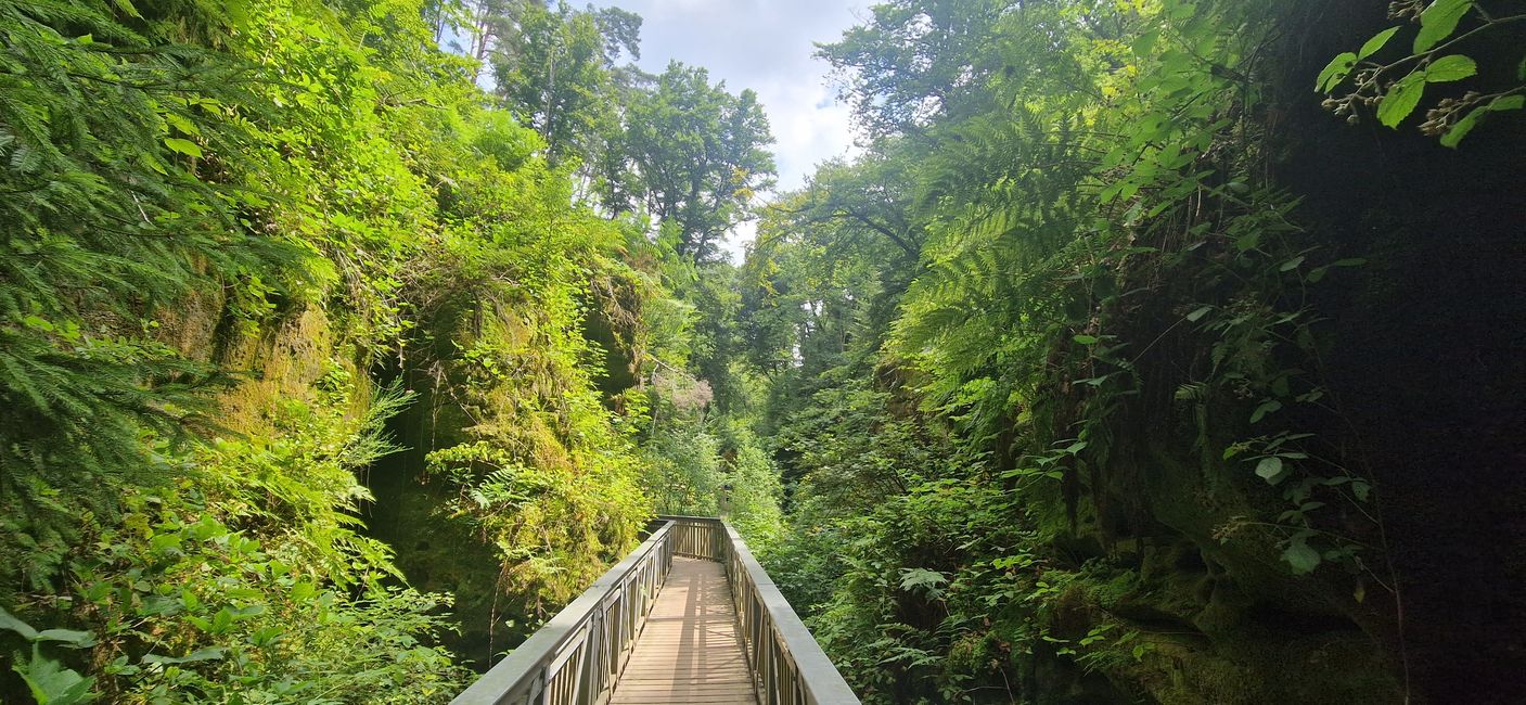 Mullerthal - Luxemburg