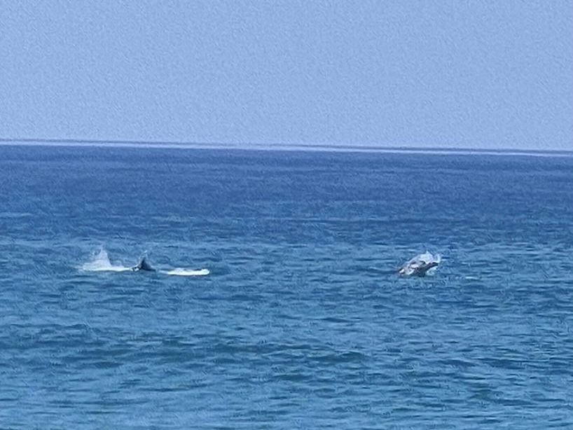 Strandtag mit Überraschungen