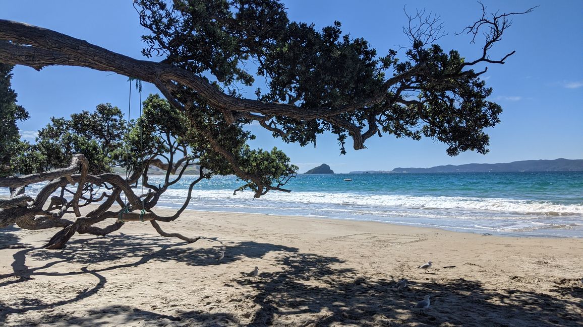 Coromandel / Playa Opito