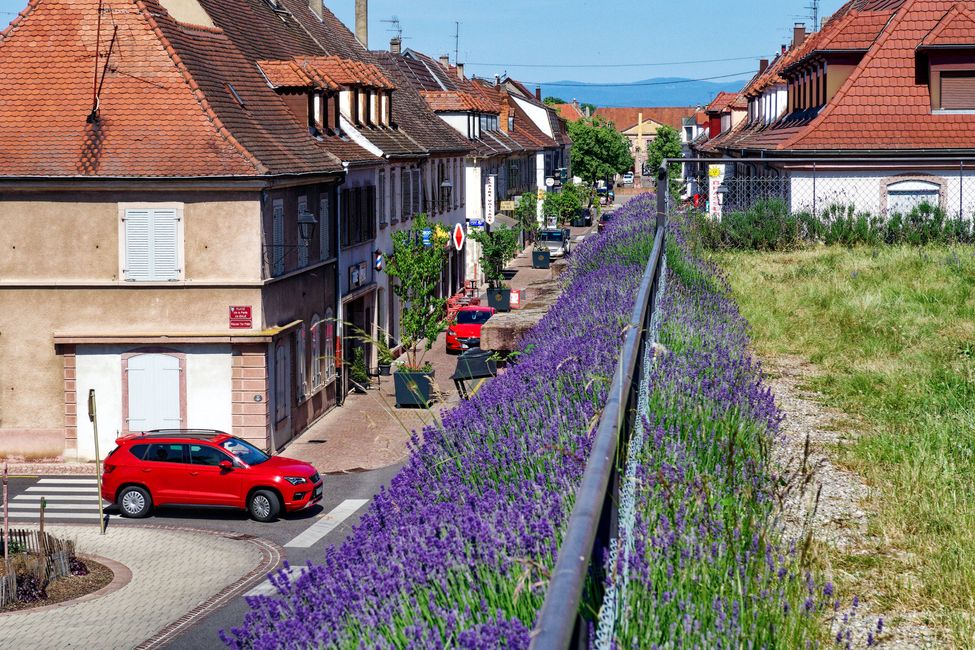 Neuf-Brisach