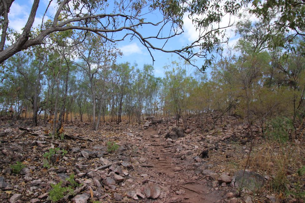 Day 27: On the road in Litchfield National Park