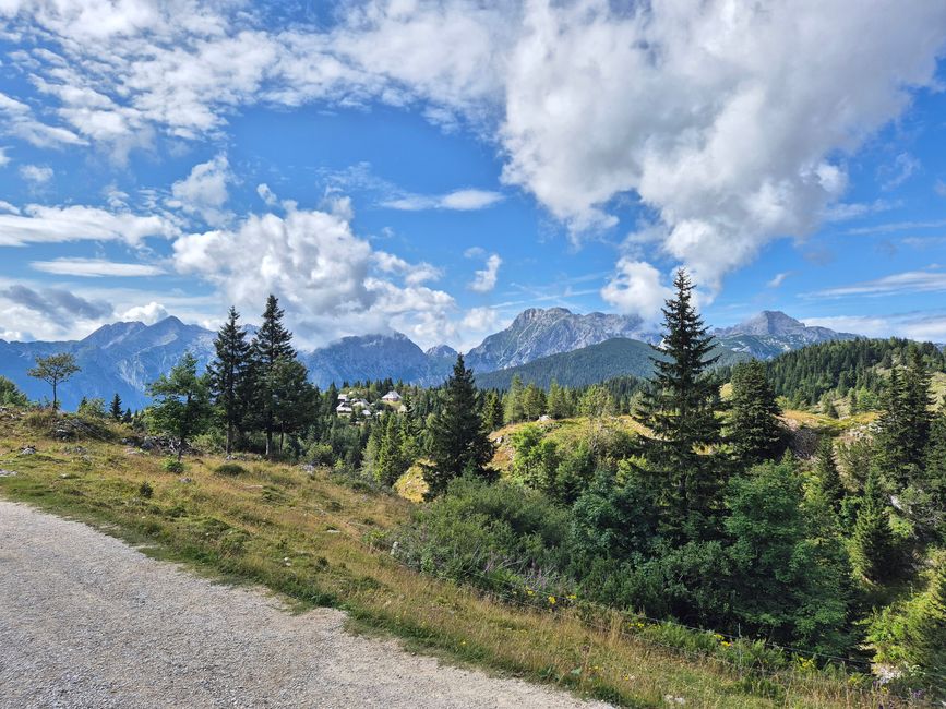 Nauf auf die Alm🐄