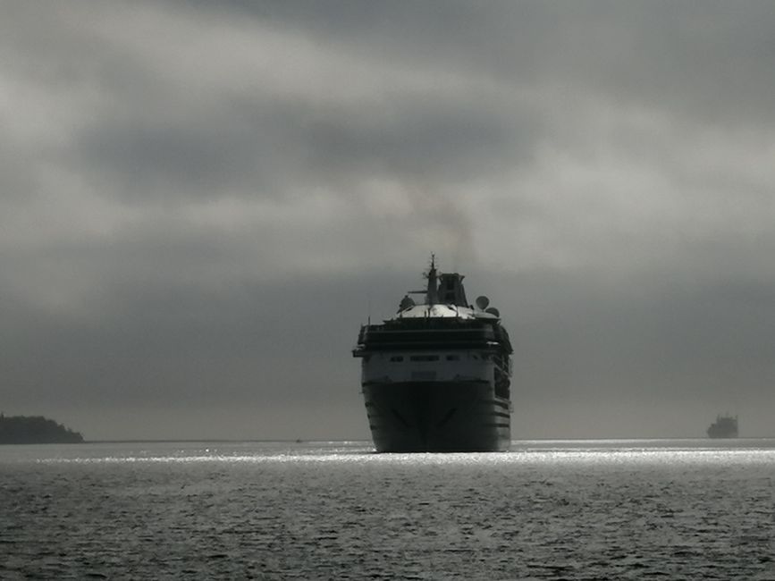 Evening at the Port