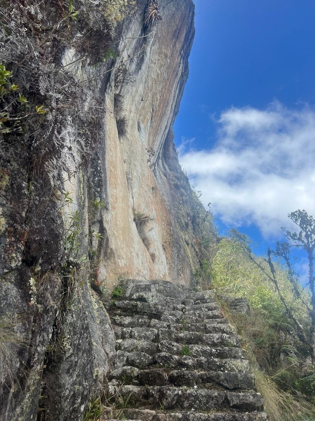 👷‍♂️标签 31-1 (3.11.) 马丘比丘，登上惠纳比丘山