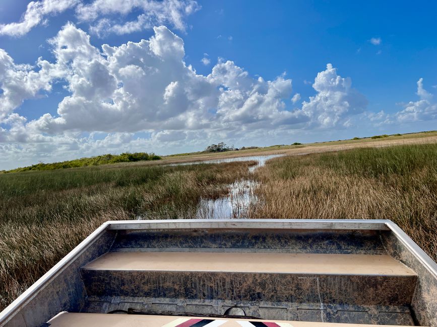 Tag 375 - Airboat-Tour @ Everglades
