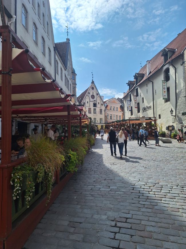 Tallin/Estonia