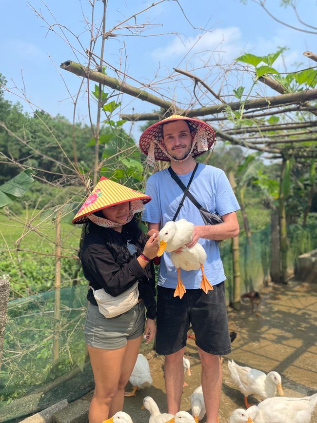 Duck Farm