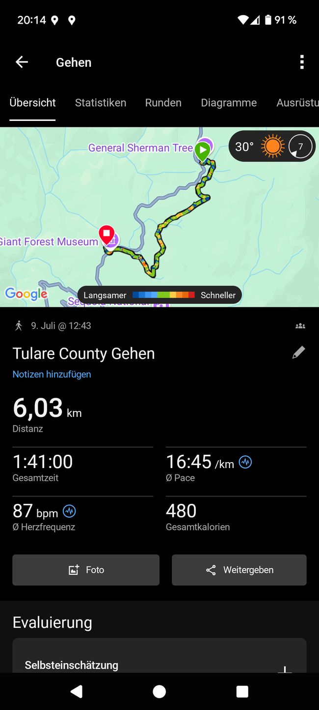 Parc national de Séquoia - Forêt géante