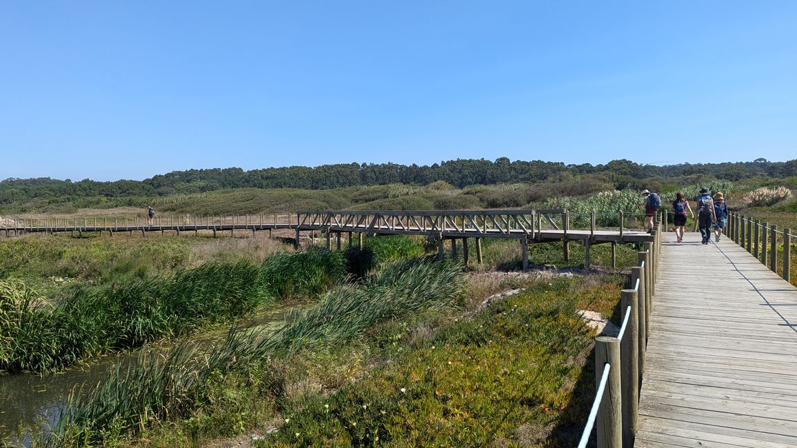 Erste Etappe Camino Portugues da Costa