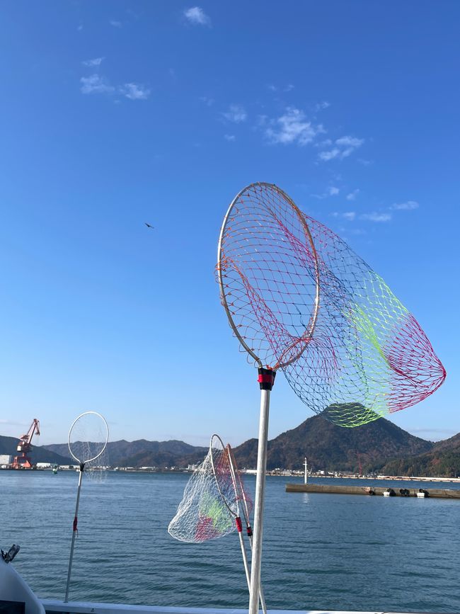 Selbst die Käscher sehen japanisch aus