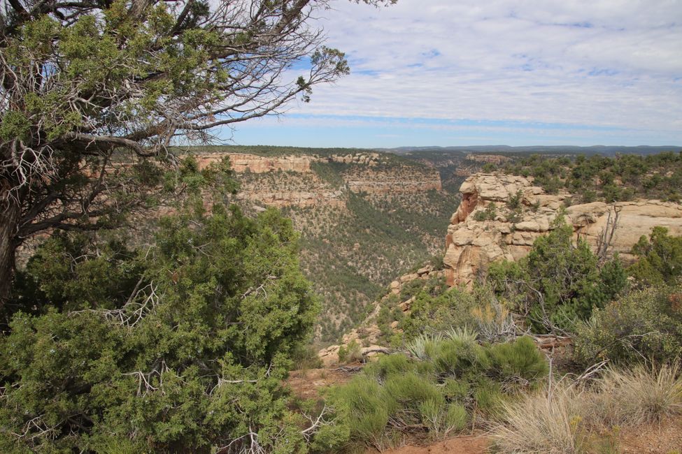 Mesa Verde NP