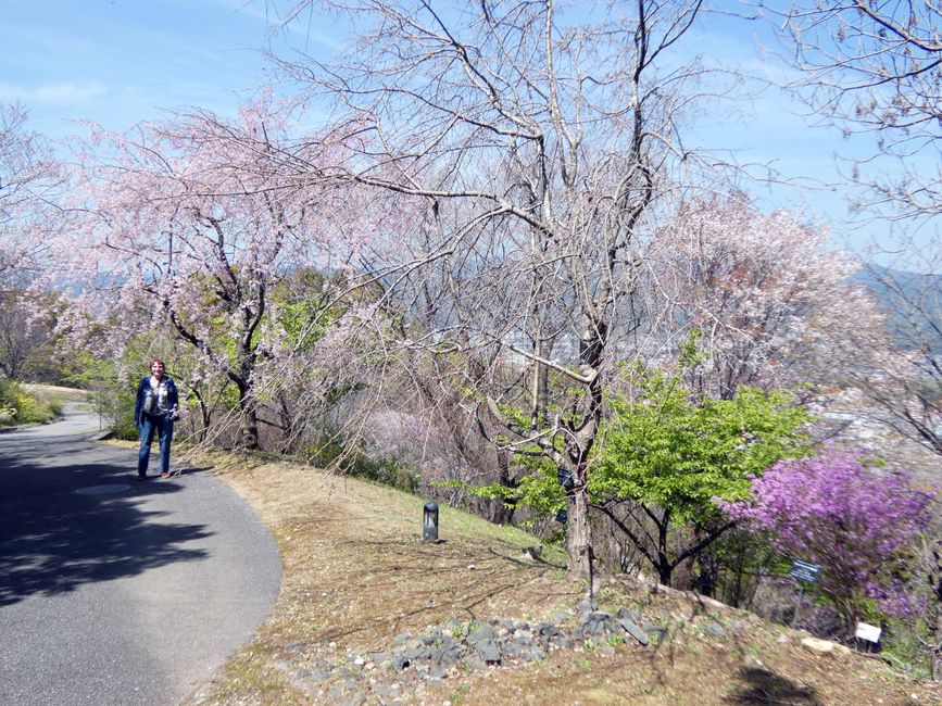 Makino Botanical Garden
