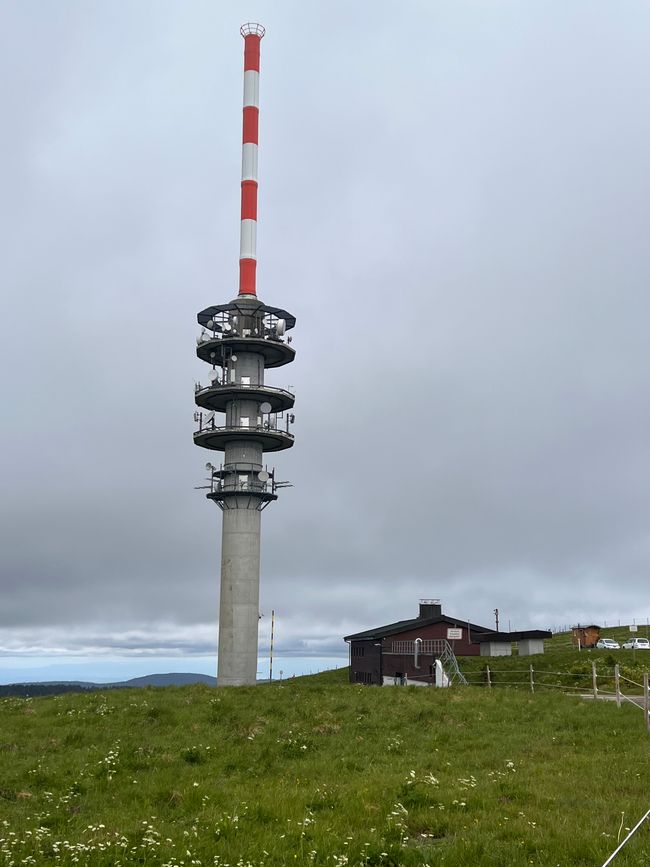 26 Feldbergsteig Escursione Pro Wolermoos