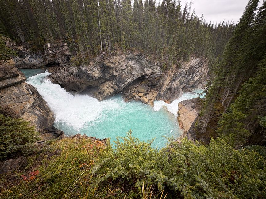 Tag 12 - 🏔️ Wasserfälle, Wetterkapriolen & Wellness – ein (fast) perfekter Tag in Jasper