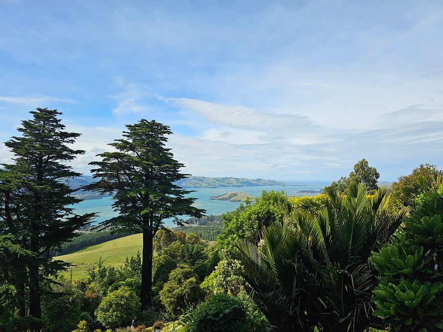 Otago Peninsula
