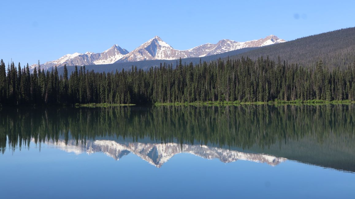 View of Takakkaw Falls