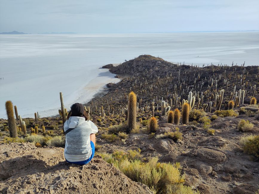 San Pedro und Co.: Wüste, Lagunen und ganz viel Salz 