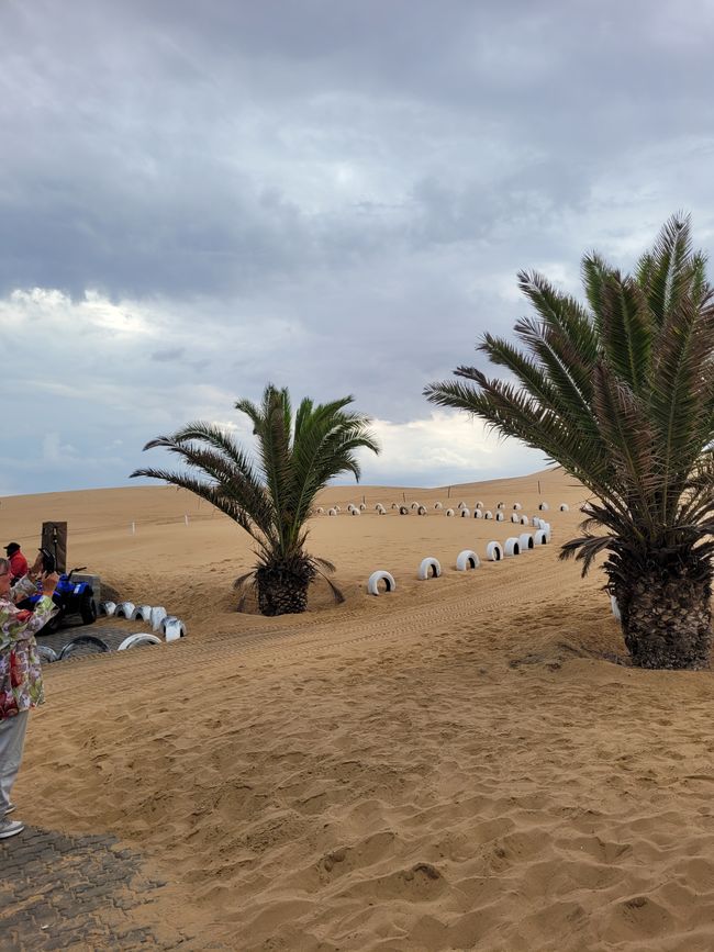 Jour 146 et 147/148 sur 175 : Croisière autour du monde : Walvis Bay/Namibie et deux jours en mer