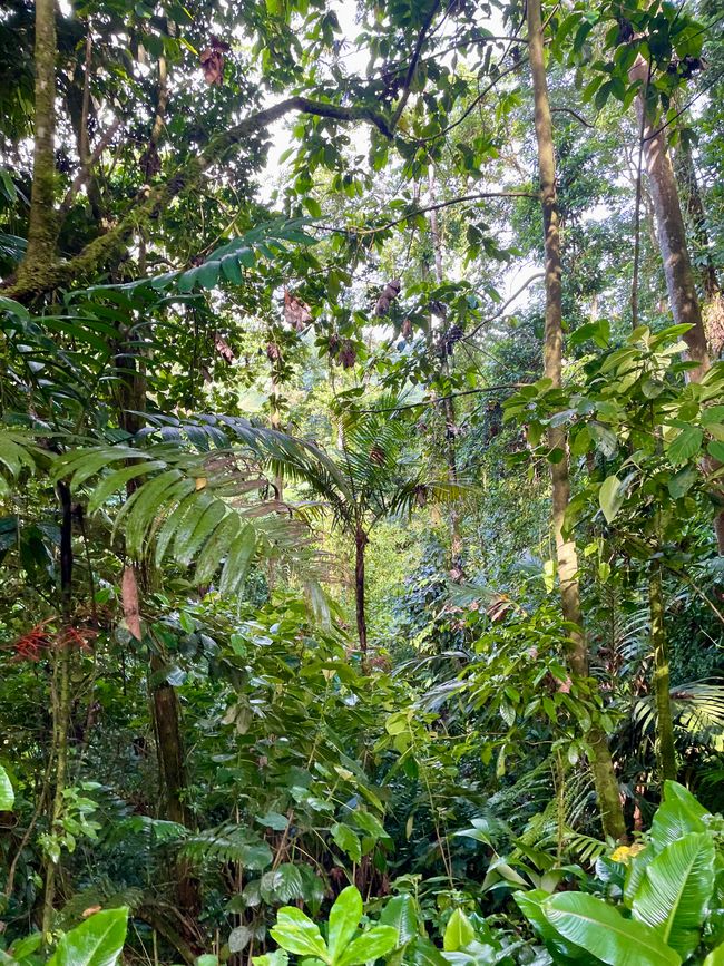 Die Entdeckung der Langsamkeit