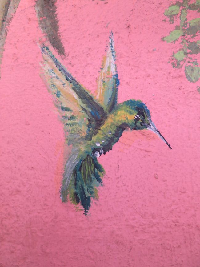 Colibri
