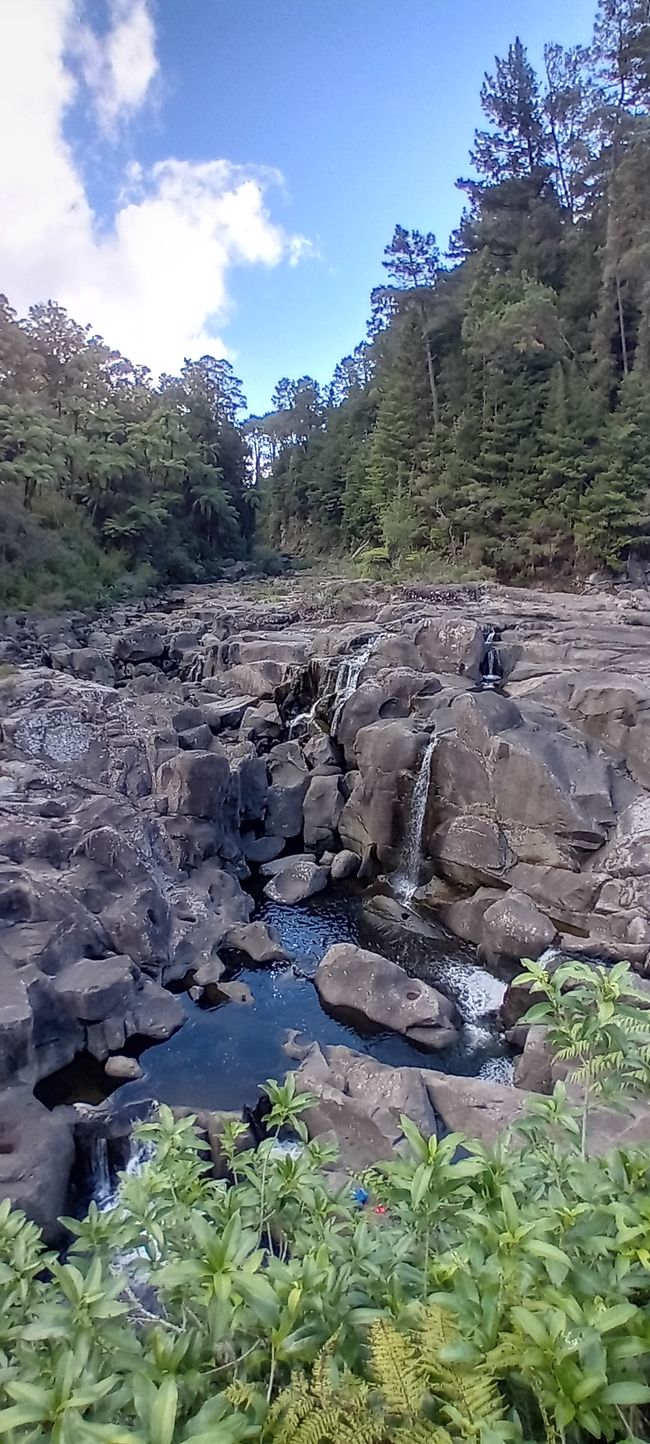 Tauranga