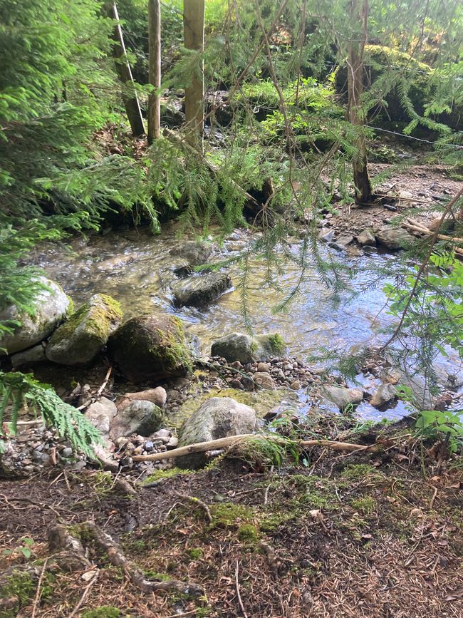 Das Wandern ist des Fischers  Lust-Ellegghöhe
