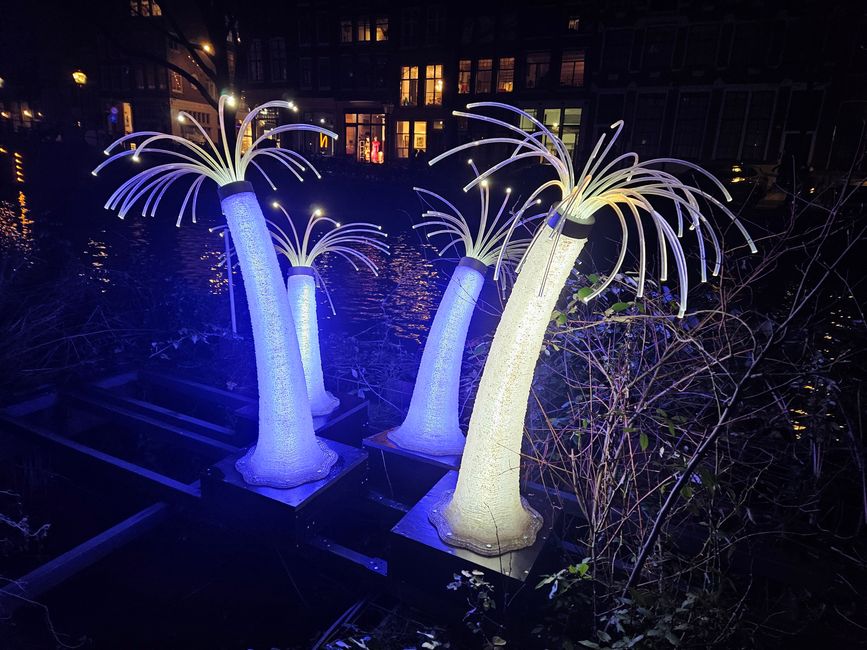 2026 - Janvier - Amsterdam - Festival des Lumières