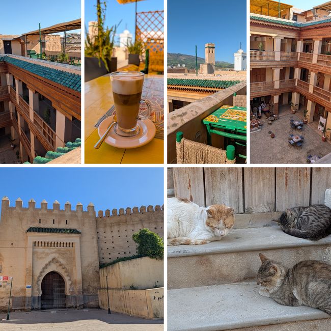 Las curtidurías de Fes