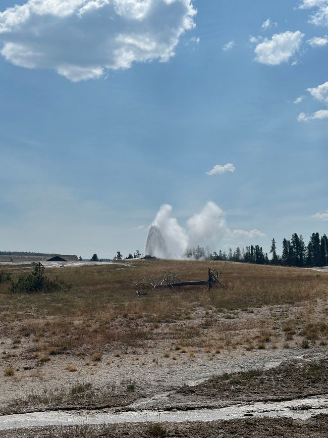 Wyoming: Yellowstone Parte 1