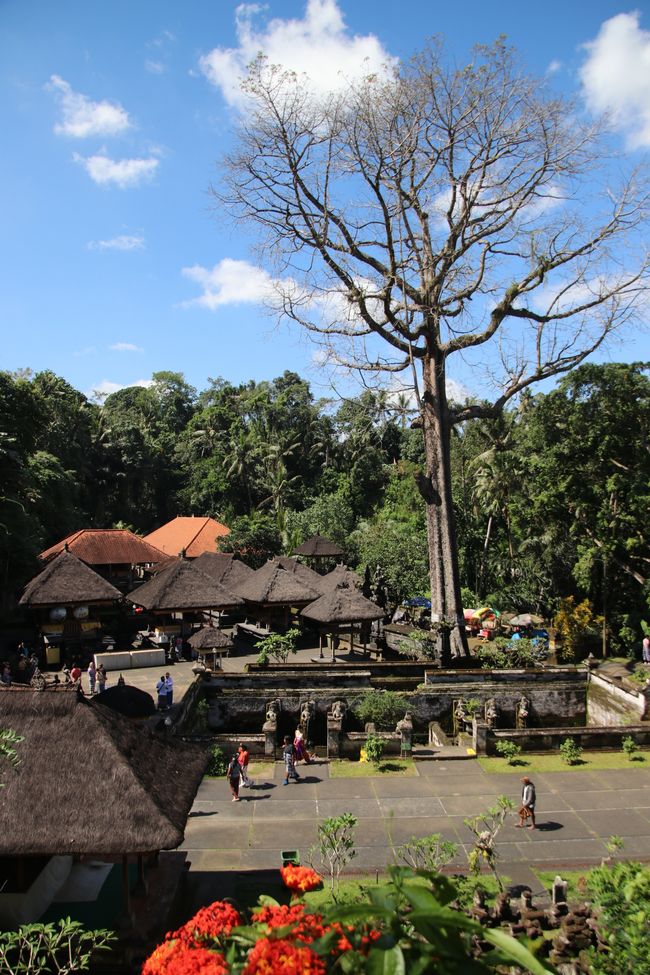 Day 11: Ubud and the Southern Tip of Bali