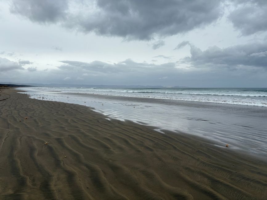 The most famous beach and the bleakest campsite in New Zealand - 90 Mile Beach