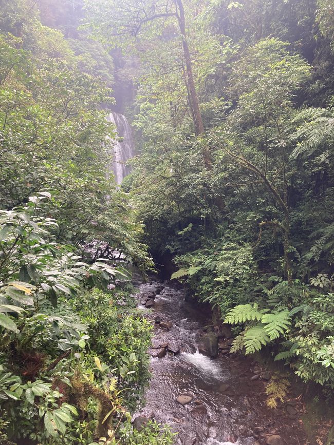 Monteverde