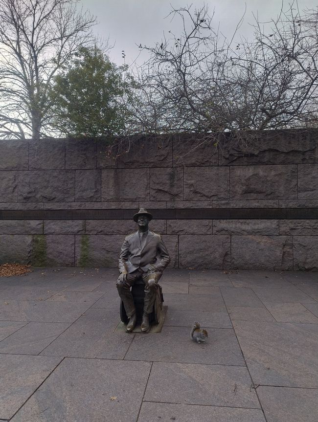 Eichhörnchen und FDR 