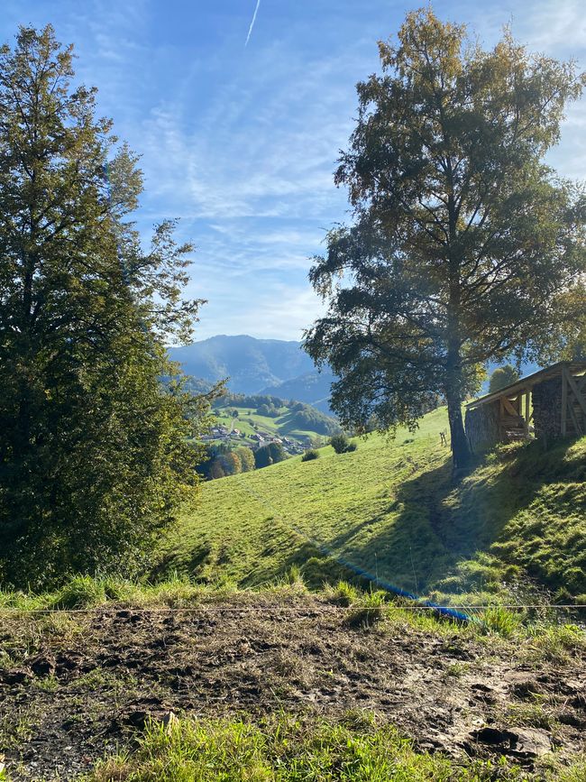 - und ein Blick ins Tal