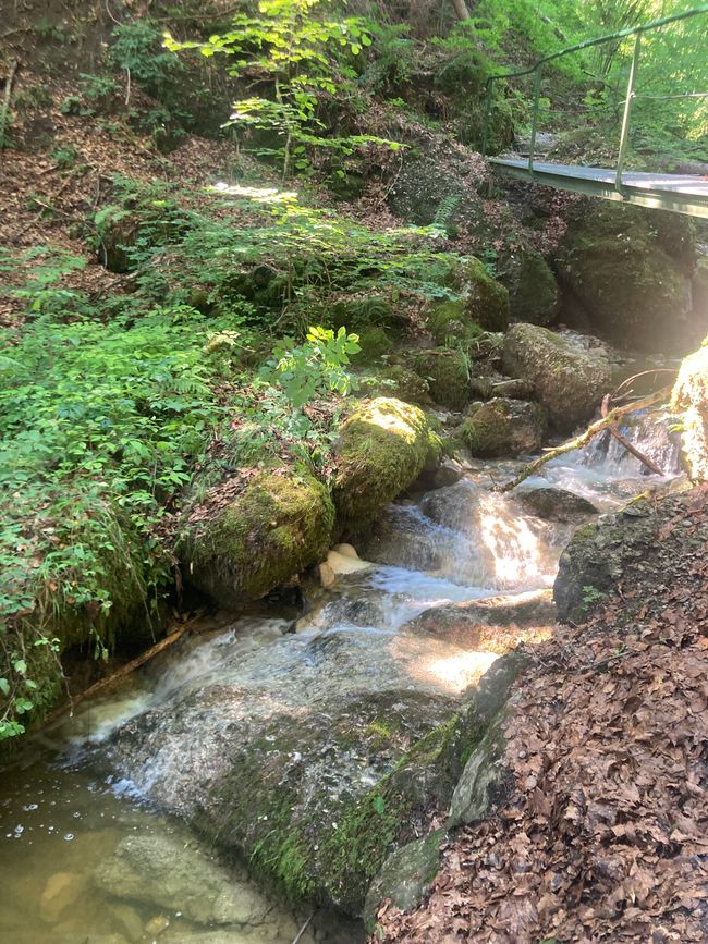 Das Wandern ist des Fischers  Lust-Ellegghöhe