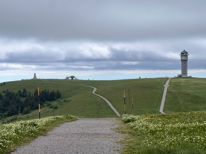 26 Feldbergsteig Escursione Pro Wolermoos