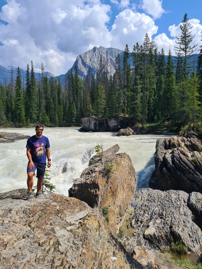 Canmore (Yoho) - Bears and Waterfalls