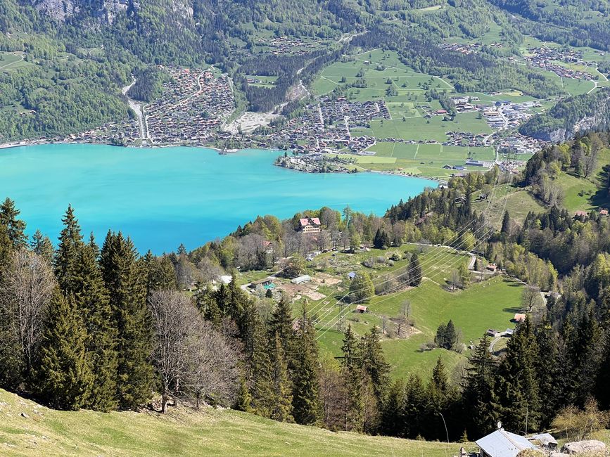 Schweibi von oben