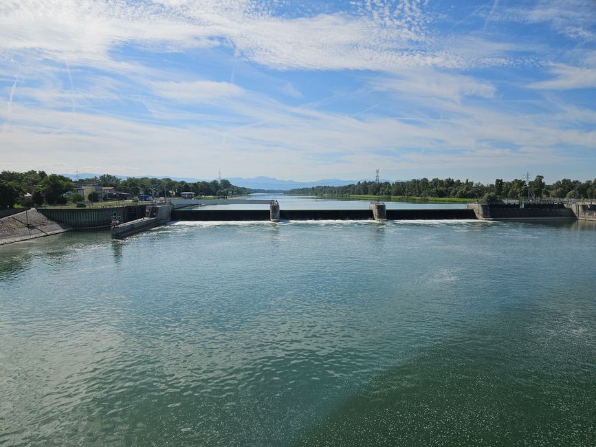 Rhein bei Breisach