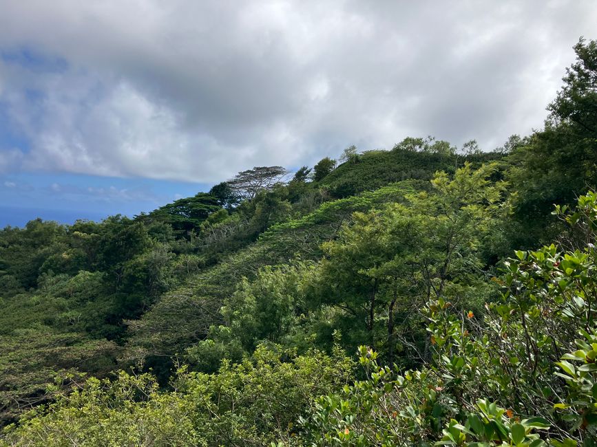 View facing the mountain side